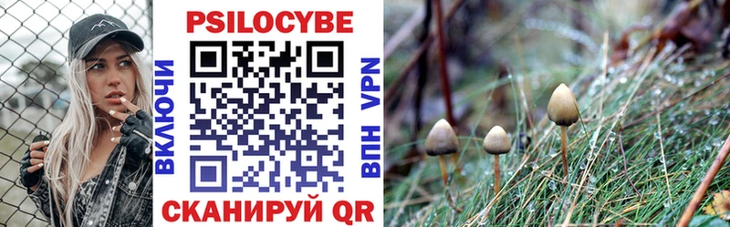 где найти   Реутов  Галлюциногенные грибы Magic Shrooms 